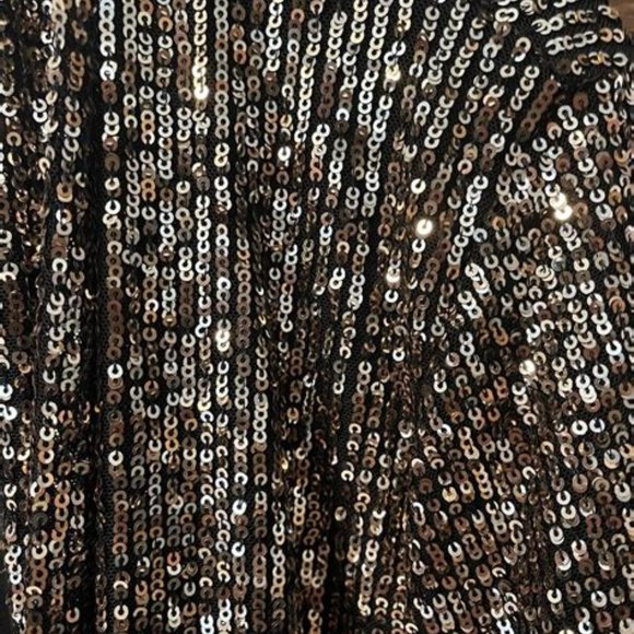 Anthropologie BB Dakota Full Length Sequin Jacket - Picture 5 of 5